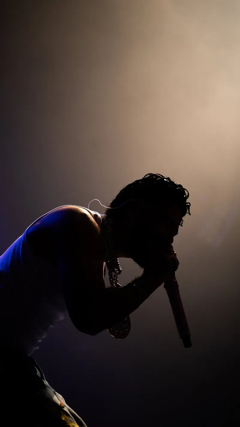 DYSTINCT in silhouette against stage haze